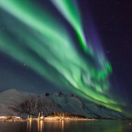 Arctic City Studio - Perfectly Located In The Main Street Tromsø Extérieur photo