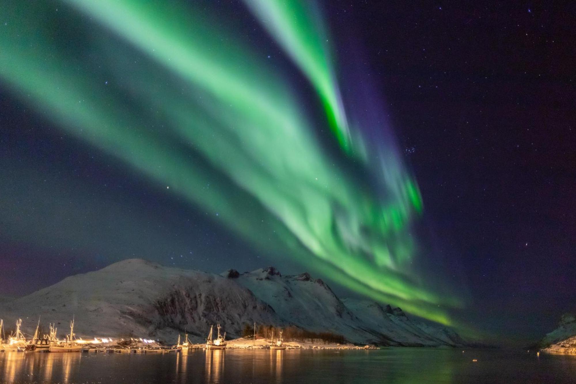 Arctic City Studio - Perfectly Located In The Main Street Tromsø Extérieur photo